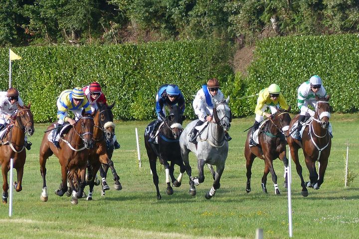 Horse Racing Betting