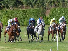 Kentucky Derby Betting Guide 2022